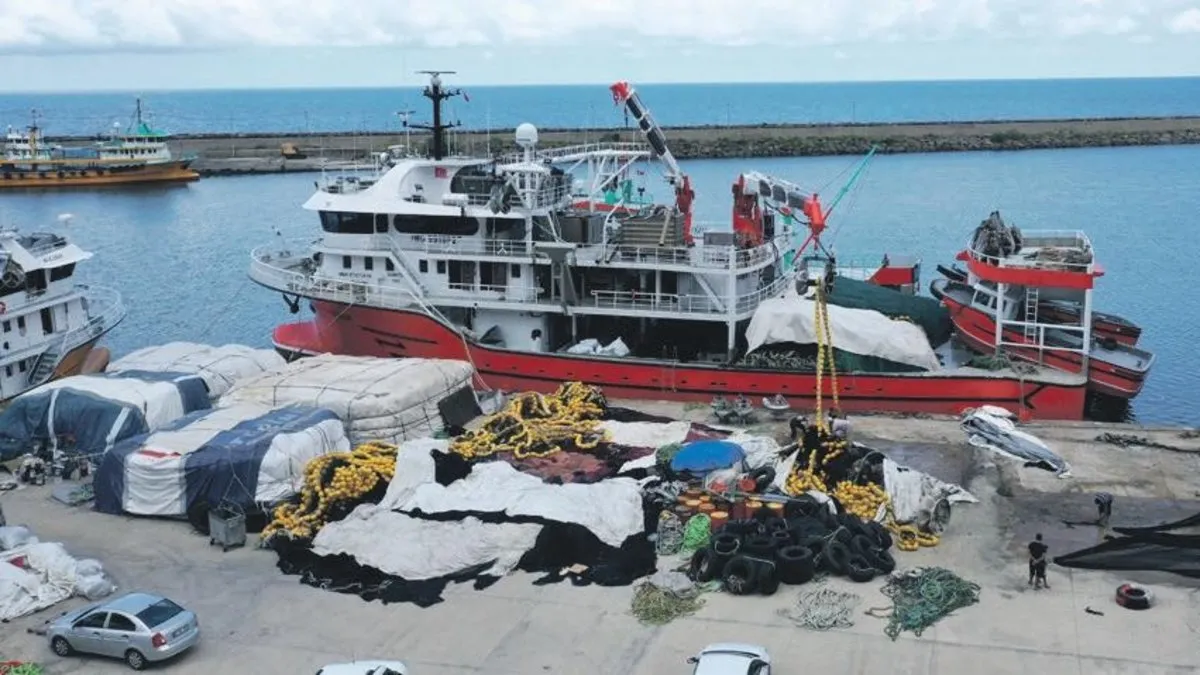 Balıkçılar yeni sezonda palamuttan umutlu