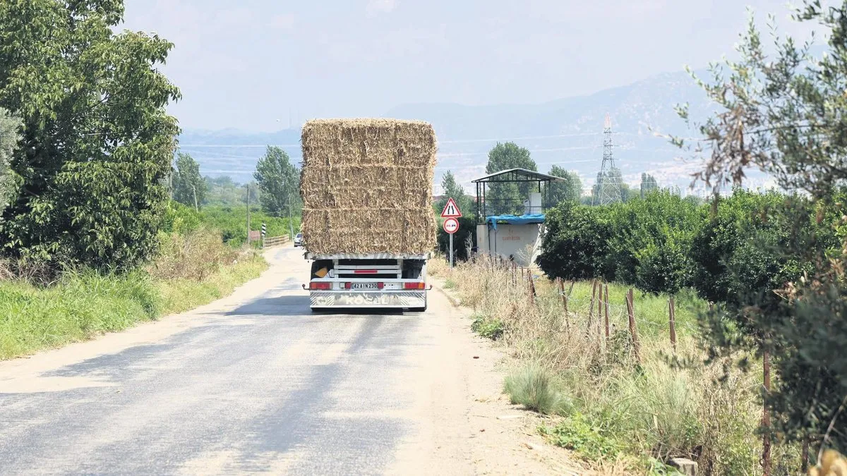 Saman balyası taşıyan kamyonlar kâbus oldu