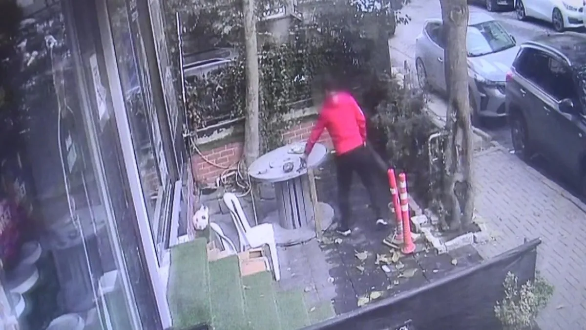 Yer İstanbul Avcılar: Masadaki telefonu böyle çaldı! Getirsin şikayetçi olmayacağım