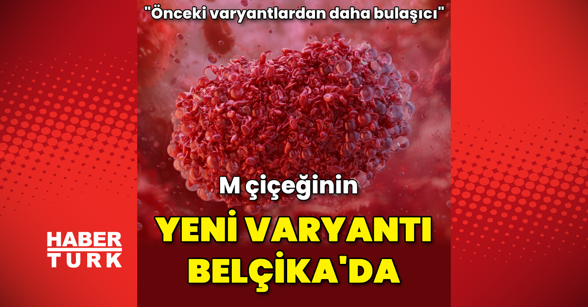 Belçika’da maymun çiçeği virüsünün yeni varyantı ilk kez tespit edildi