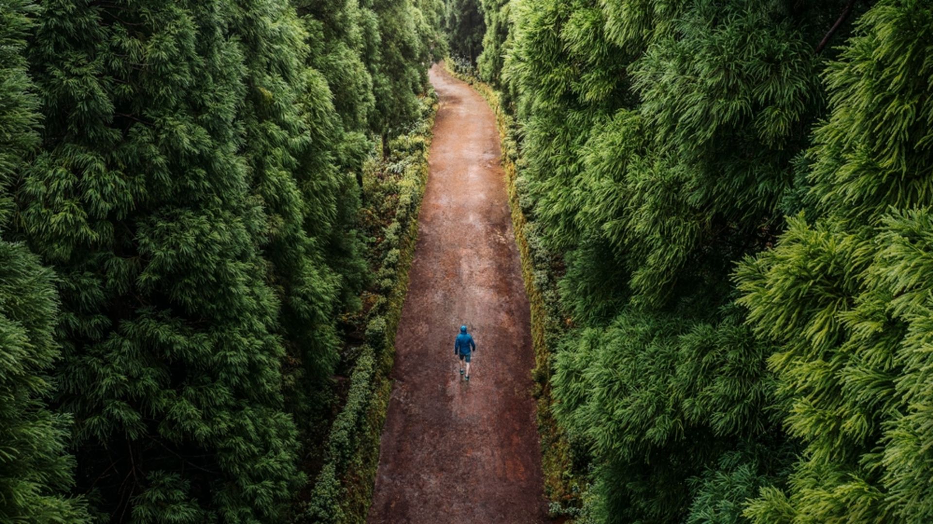 Yürüyüş meditasyonu nedir? Yürüyüş meditasyonu nasıl yapılır?